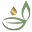 echofy